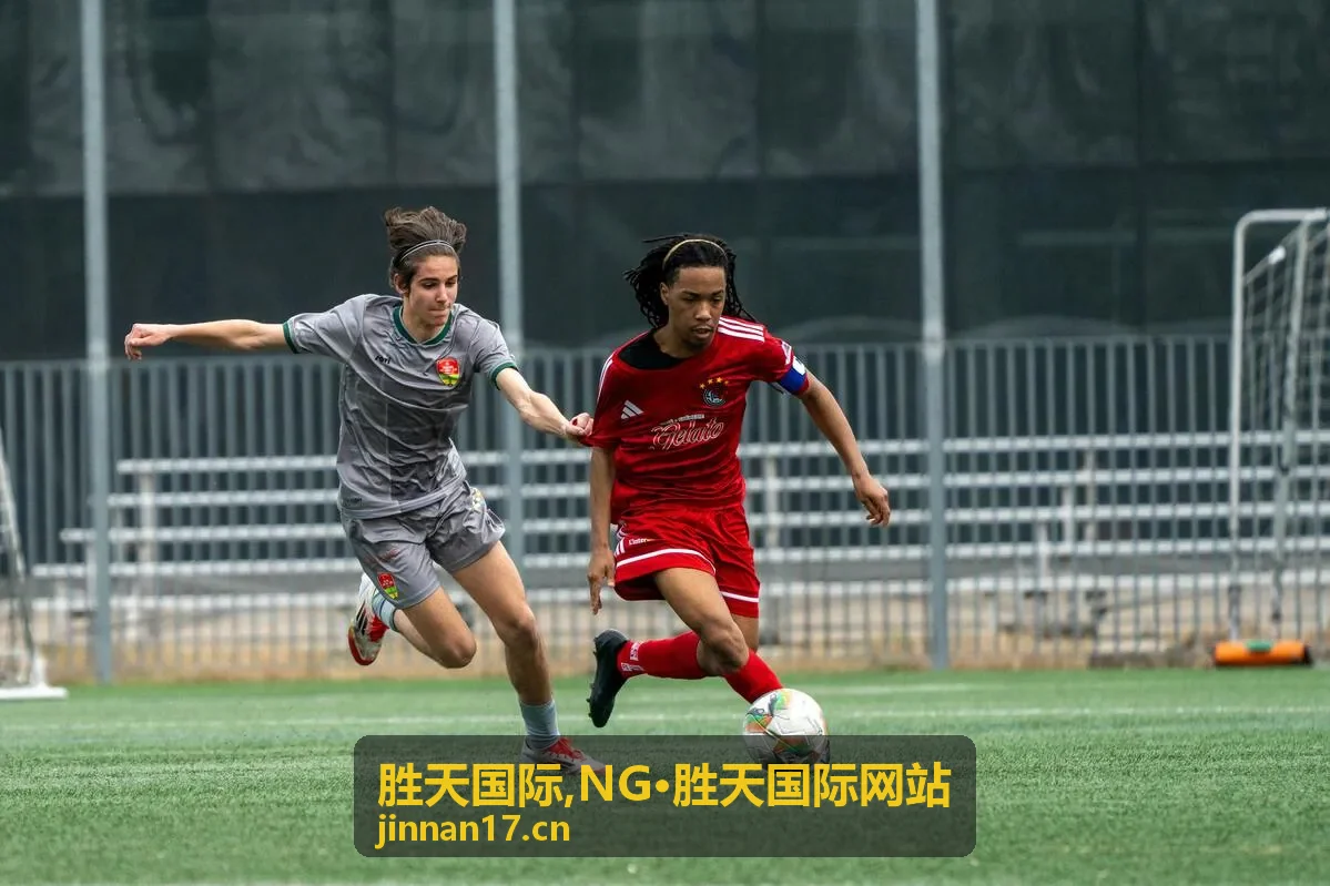 NG·胜天国际网站支持指南
